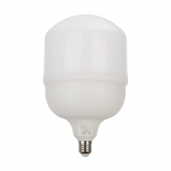 LED Lamp 60W